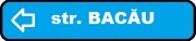 BACAU - копия