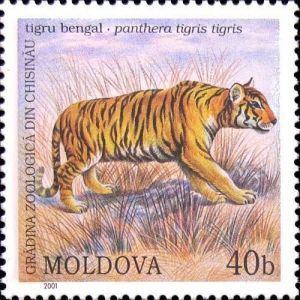 Bengal Tiger 2001