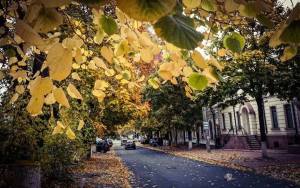 10703814_747603591979519_4930919287074693121_n