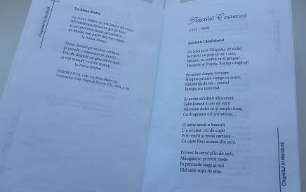 17454799_1536397683069137_618173176_o