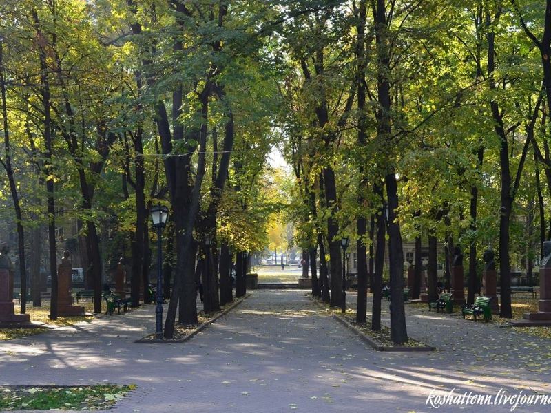 10 curiozități despre Aleea Clasicilor