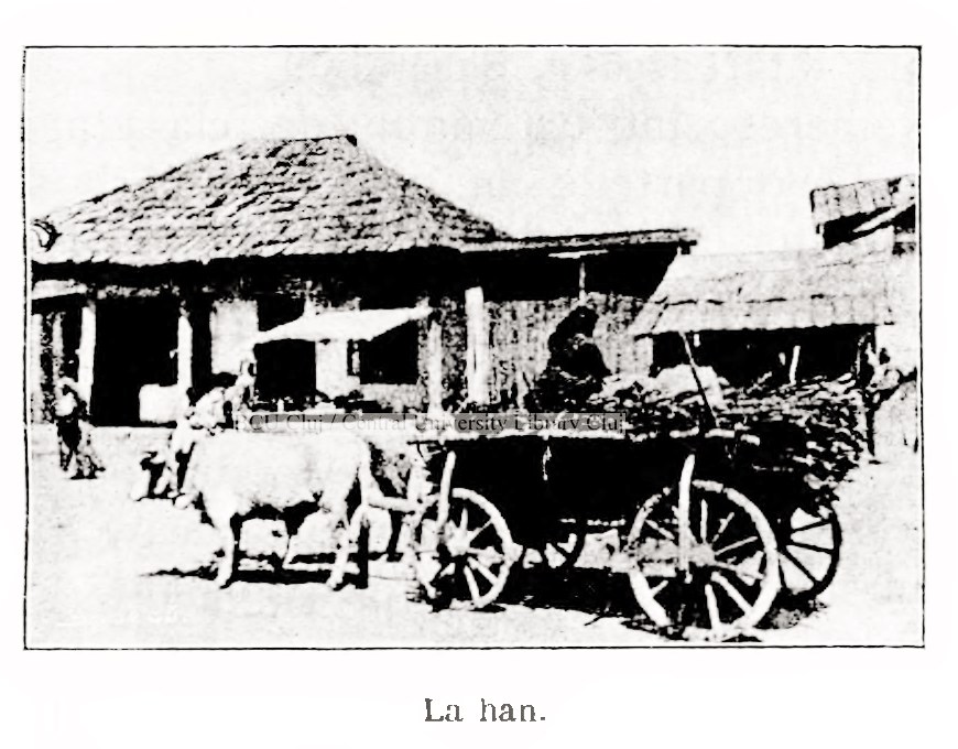 N. Iorga. Chișinăul (VII)